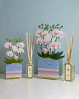 PROFUMATORE PER AMBIENTI 100 ML - LIVINIA PICCOLO ORCHIDEA BIANCO