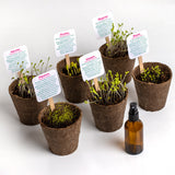 FLOWER POWER KIT DI AUTOCOLTIVAZIONE