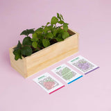 KIT DI AUTOCOLTIVAZIONE DOLCI