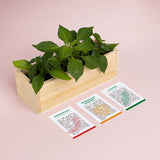 KIT DI AUTOCOLTIVAZIONE PICCANTI