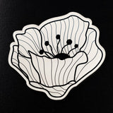 LE JARDIN SET 6 SOTTOBICCHIERI TRASPARENTE