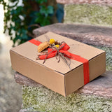 BOX NSG COCCOLA D'AUTUNNO