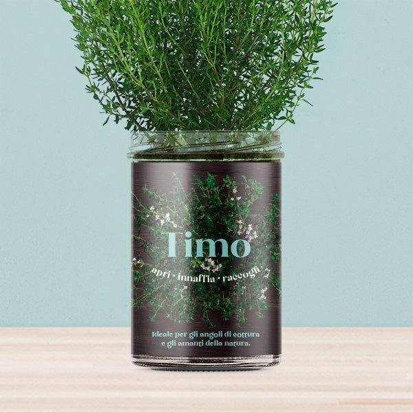 ORTI CUCINA TIMO