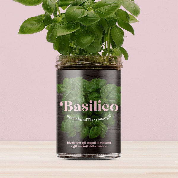 ORTI CUCINA BASILICO