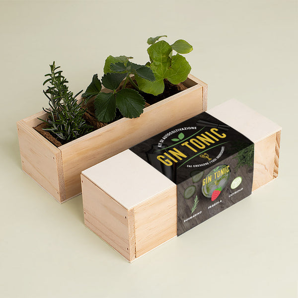 KIT DI AUTOCOLTIVAZIONE GIN TONIC