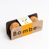 BOMBE DI SEMI FIORI SILVESTRI ARANCIONI