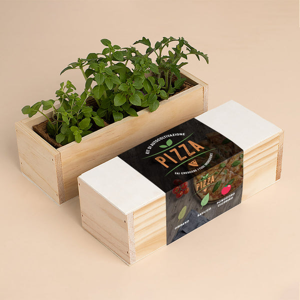 KIT DI AUTOCOLTIVAZIONE PIZZA