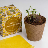 DILLO CON I FIORI - BUON COMPLEANNO