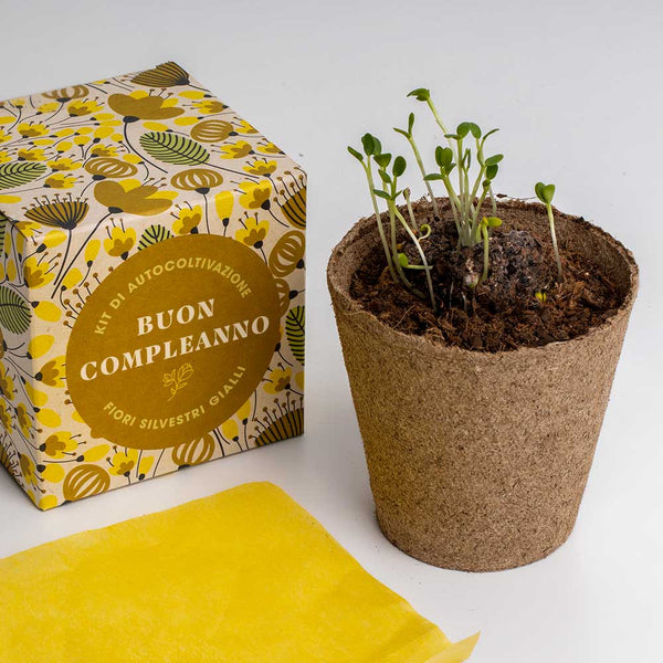 DILLO CON I FIORI - BUON COMPLEANNO