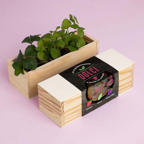 KIT DI AUTOCOLTIVAZIONE DOLCI