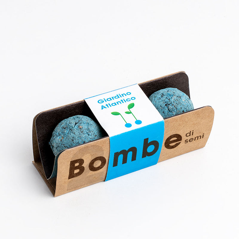 BOMBE DI SEMI GIARDINO ATLANTICO