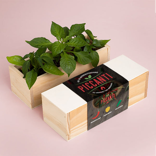 KIT DI AUTOCOLTIVAZIONE PICCANTI