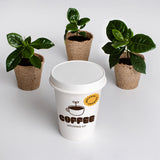 KIT DI COLTIVAZIONE DEL CAFFE'