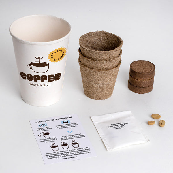 KIT DI COLTIVAZIONE DEL CAFFE'