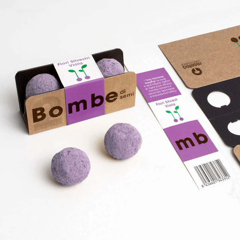 BOMBE DI SEMI FIORI SILVESTRI VIOLA