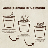 MATITA PIANTABILE DI BASILICO