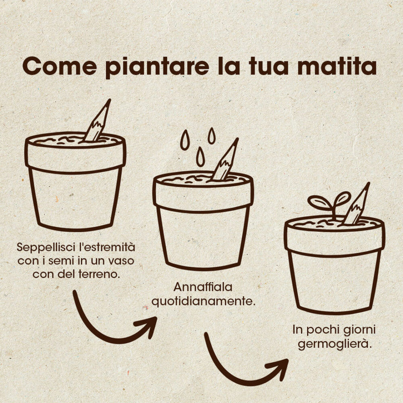 MATITA PIANTABILE DI BASILICO
