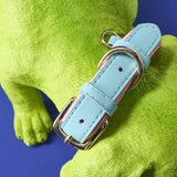 BASSOTTO WILFRIED DOG GREEN