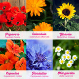FLOWER POWER KIT DI AUTOCOLTIVAZIONE