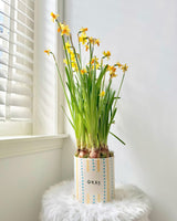 Vaso And Nook Okay in ceramica dipinta a mano con puntini blu, fascia gialla e scritta "okay", realizzato in Portogallo e ideale per piante e decorazione d’interni.